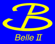 [Belle II]